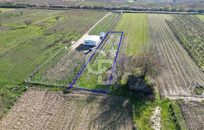 MANİSA YUNUSEMRE YAĞCILARDA 1.254 M² SATILIK TARLA