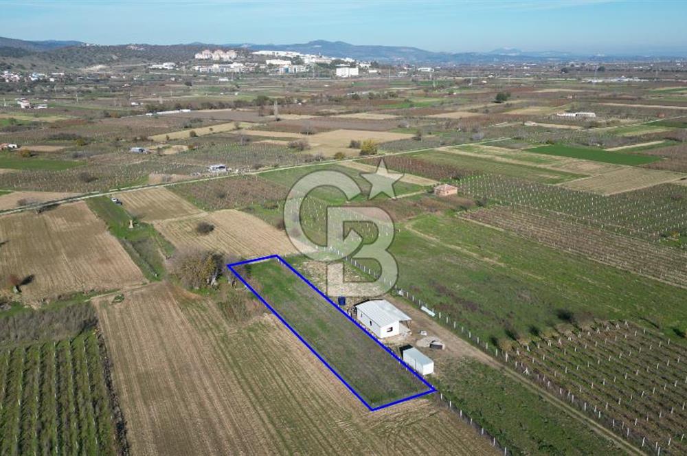 MANİSA YUNUSEMRE YAĞCILARDA 1.254 M² SATILIK TARLA