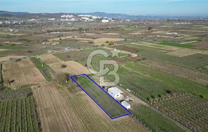 MANİSA YUNUSEMRE YAĞCILARDA 1.254 M² SATILIK TARLA