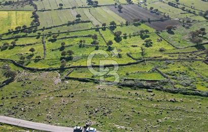 MENEMEN TELEKLERDE SATILIK 2 HİSSE 530 M² TARLA