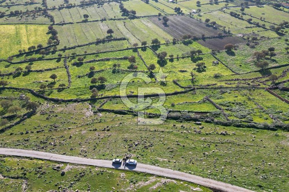 MENEMEN TELEKLERDE SATILIK 2 HİSSE 530 M² TARLA