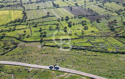 MENEMEN TELEKLERDE SATILIK 2 HİSSE 530 M² TARLA