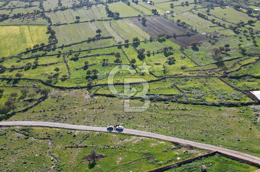 MENEMEN TELEKLERDE SATILIK 265 M² TARLA