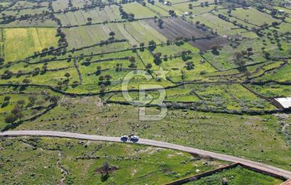 MENEMEN TELEKLERDE SATILIK 265 M² TARLA