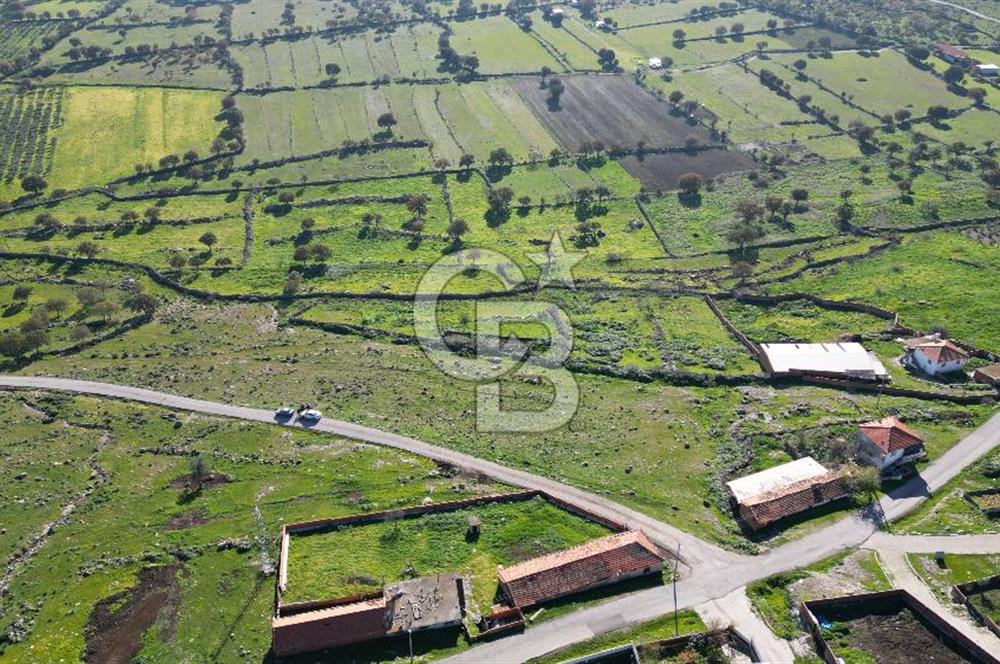 MENEMEN TELEKLERDE SATILIK 265 M² TARLA