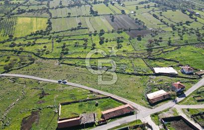 MENEMEN TELEKLERDE SATILIK 265 M² TARLA