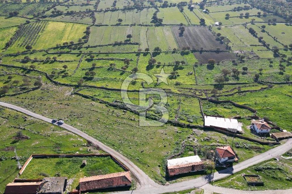 MENEMEN TELEKLERDE SATILIK 265 M² TARLA