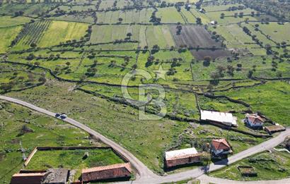 MENEMEN TELEKLERDE SATILIK 265 M² TARLA