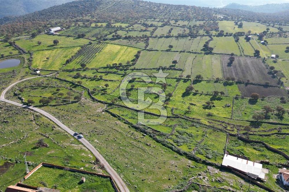 MENEMEN TELEKLERDE SATILIK 265 M² TARLA