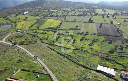 MENEMEN TELEKLERDE SATILIK 2 HİSSE 530 M² TARLA