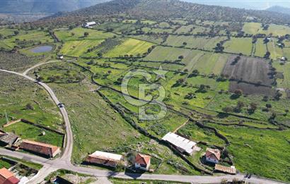 MENEMEN TELEKLERDE SATILIK 2 HİSSE 530 M² TARLA