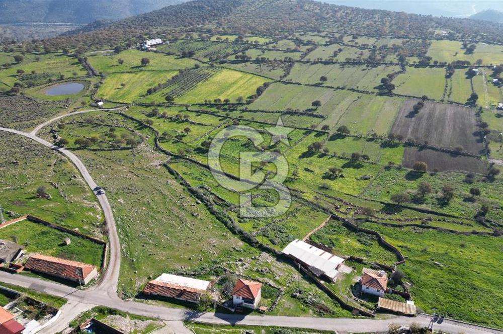 MENEMEN TELEKLERDE SATILIK 265 M² TARLA