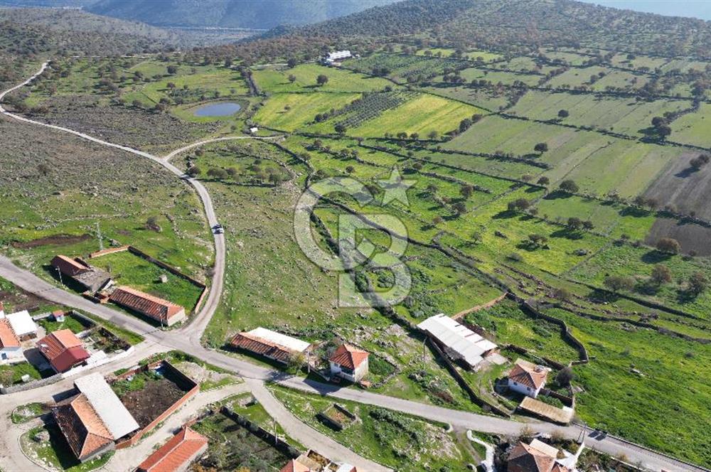 MENEMEN TELEKLERDE SATILIK 265 M² TARLA