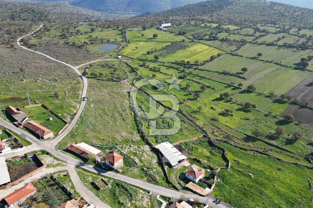 MENEMEN TELEKLERDE SATILIK 265 M² TARLA