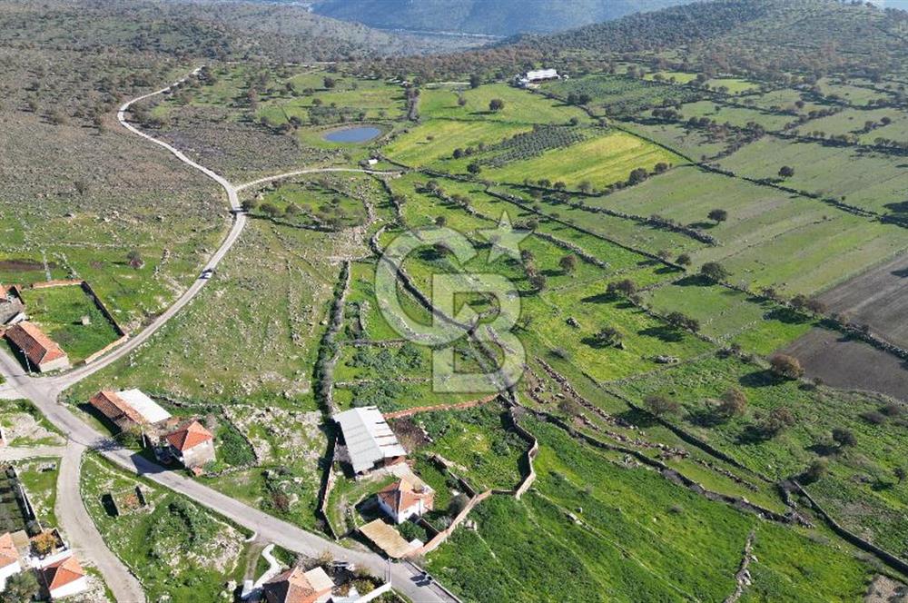 MENEMEN TELEKLERDE SATILIK 2 HİSSE 530 M² TARLA