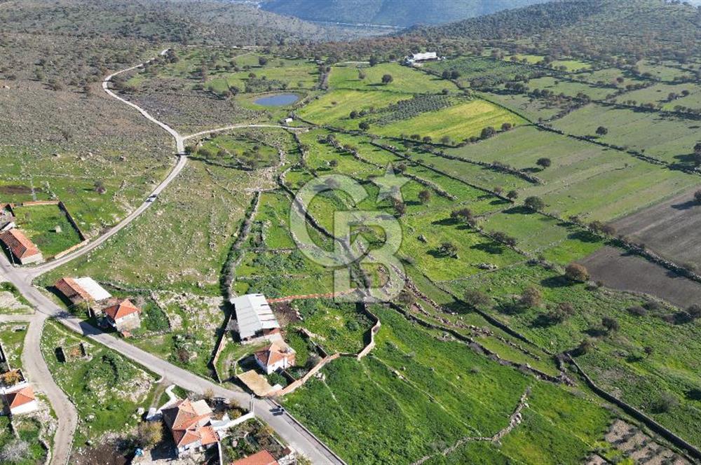 MENEMEN TELEKLERDE SATILIK 265 M² TARLA