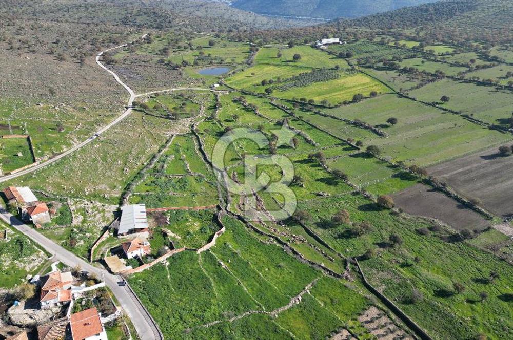 MENEMEN TELEKLERDE SATILIK 265 M² TARLA