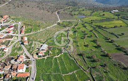 MENEMEN TELEKLERDE SATILIK 265 M² TARLA