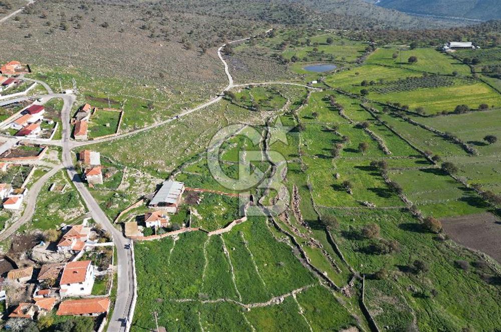 MENEMEN TELEKLERDE SATILIK 2 HİSSE 530 M² TARLA