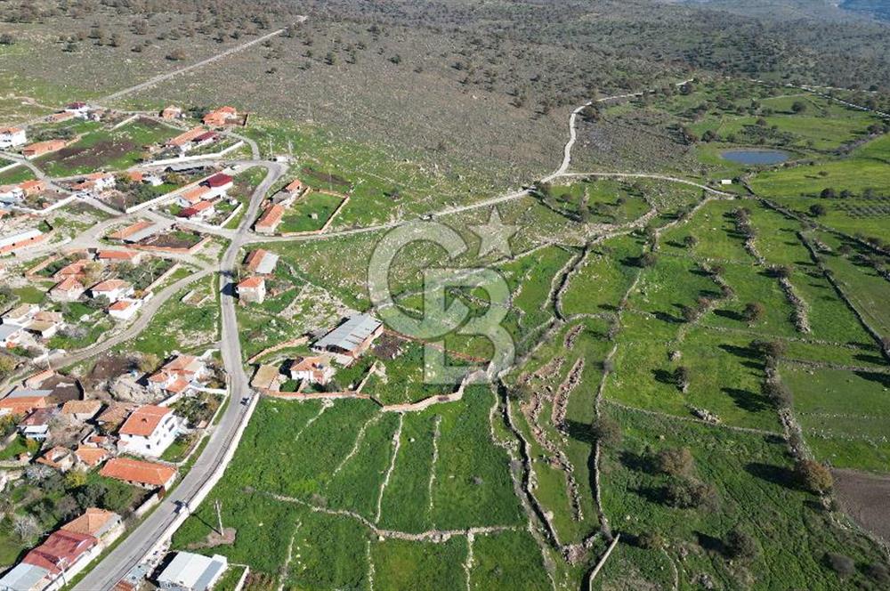 MENEMEN TELEKLERDE SATILIK 265 M² TARLA