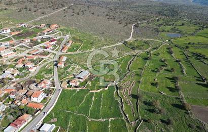 MENEMEN TELEKLERDE SATILIK 265 M² TARLA