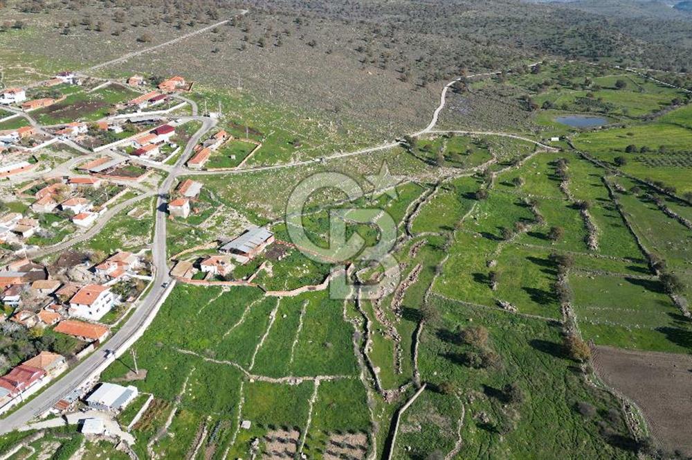 MENEMEN TELEKLERDE SATILIK 265 M² TARLA