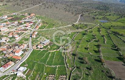 MENEMEN TELEKLERDE SATILIK 265 M² TARLA