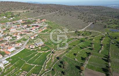 MENEMEN TELEKLERDE SATILIK 265 M² TARLA