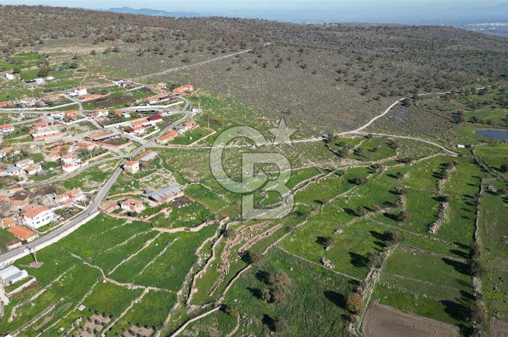 MENEMEN TELEKLERDE SATILIK 2 HİSSE 530 M² TARLA