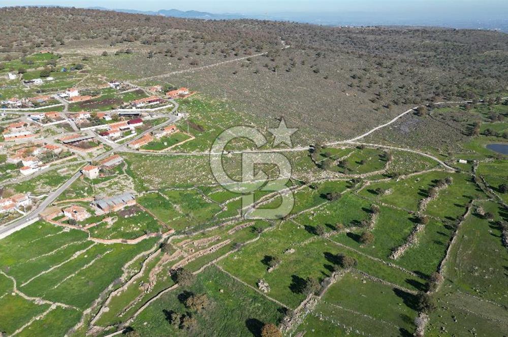 MENEMEN TELEKLERDE SATILIK 265 M² TARLA