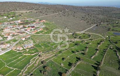 MENEMEN TELEKLERDE SATILIK 265 M² TARLA