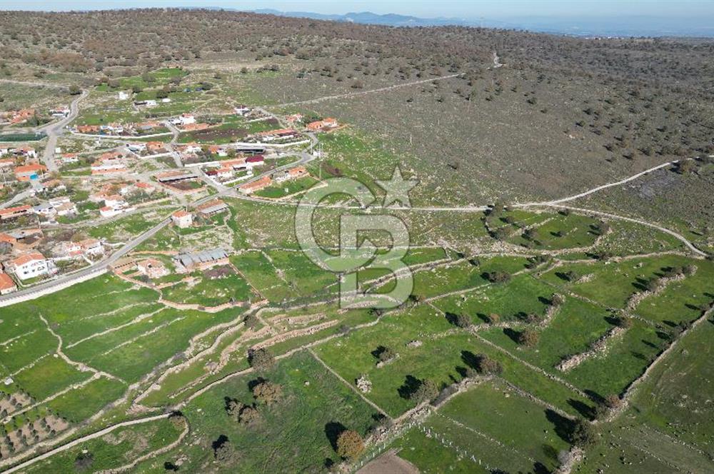 MENEMEN TELEKLERDE SATILIK 2 HİSSE 530 M² TARLA