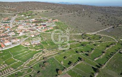 MENEMEN TELEKLERDE SATILIK 265 M² TARLA