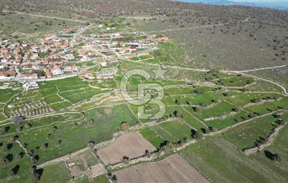 MENEMEN TELEKLERDE SATILIK 2 HİSSE 530 M² TARLA