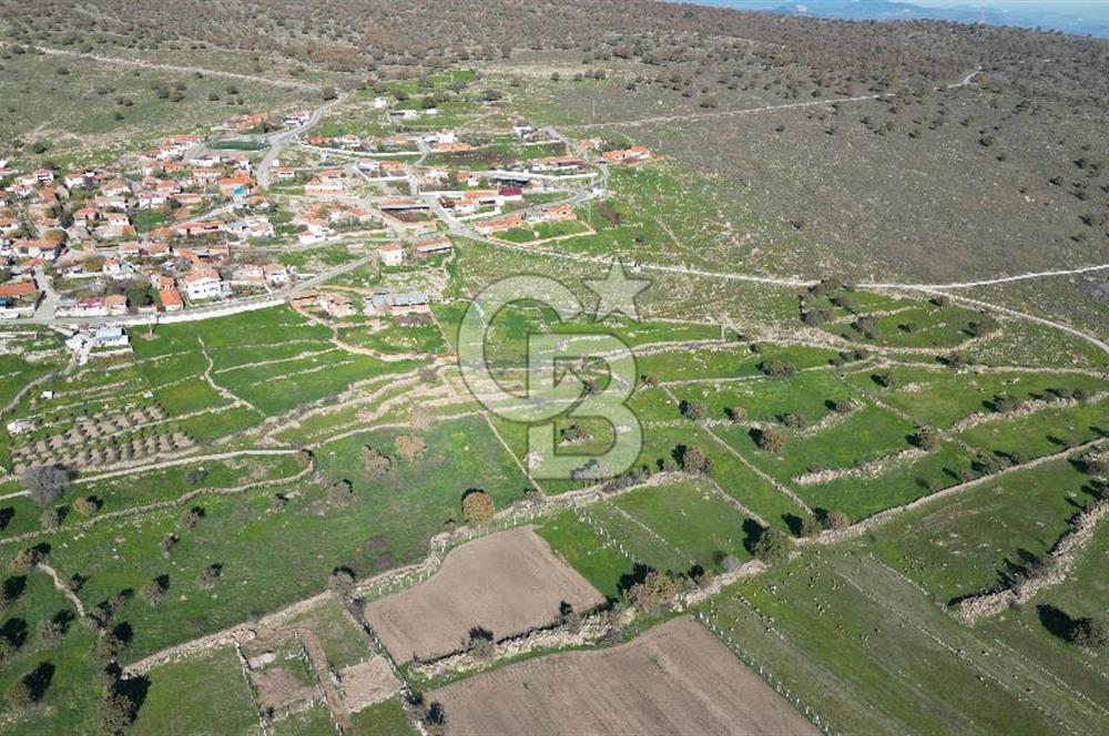 MENEMEN TELEKLERDE SATILIK 265 M² TARLA