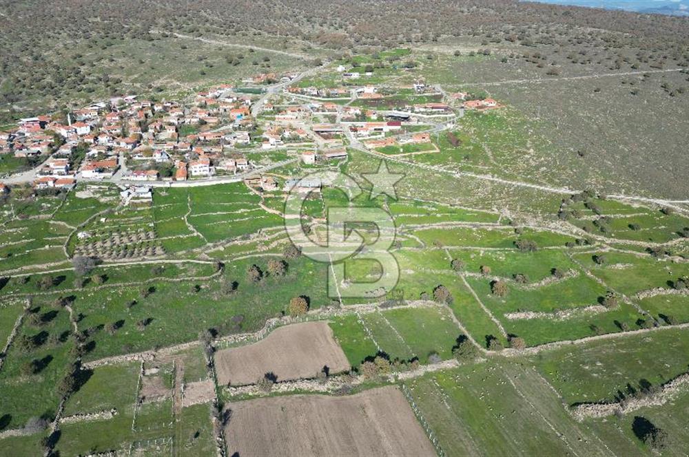 MENEMEN TELEKLERDE SATILIK 2 HİSSE 530 M² TARLA