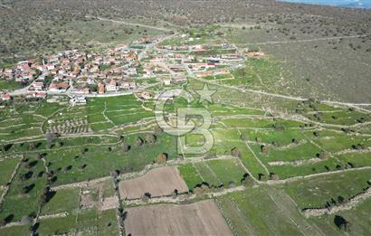 MENEMEN TELEKLERDE SATILIK 265 M² TARLA