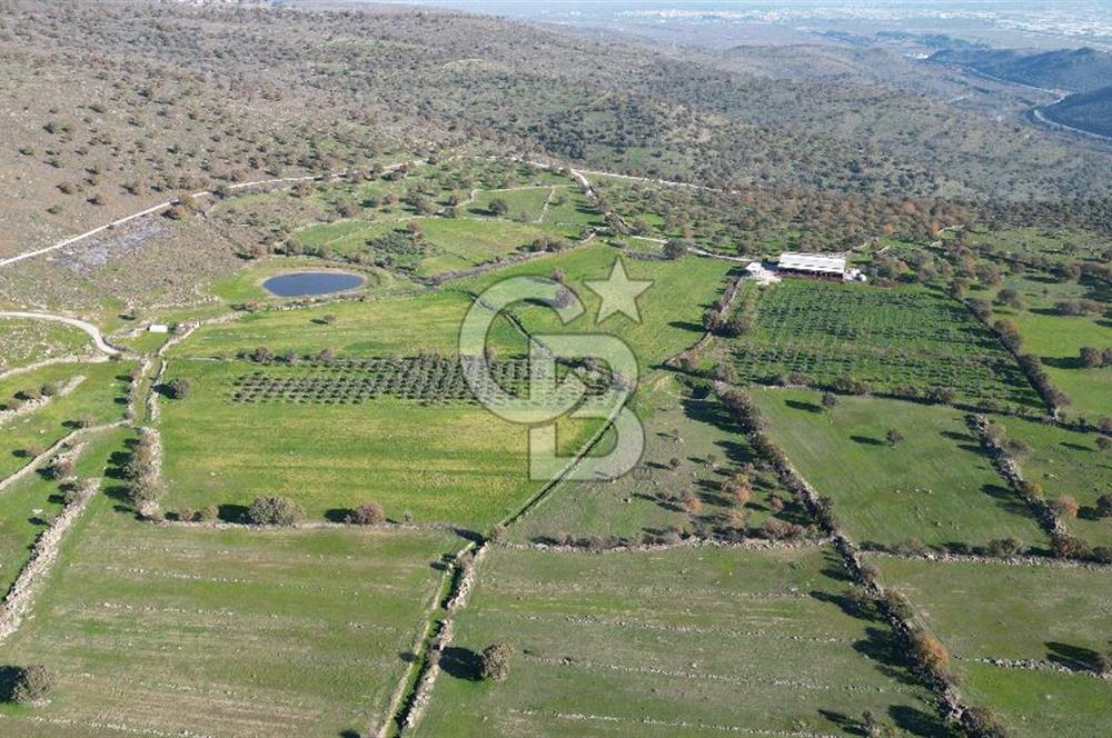 MENEMEN TELEKLERDE SATILIK 3.214 M² TARLA
