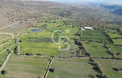 MENEMEN TELEKLERDE SATILIK 2 HİSSE 6.428 M² TARLA