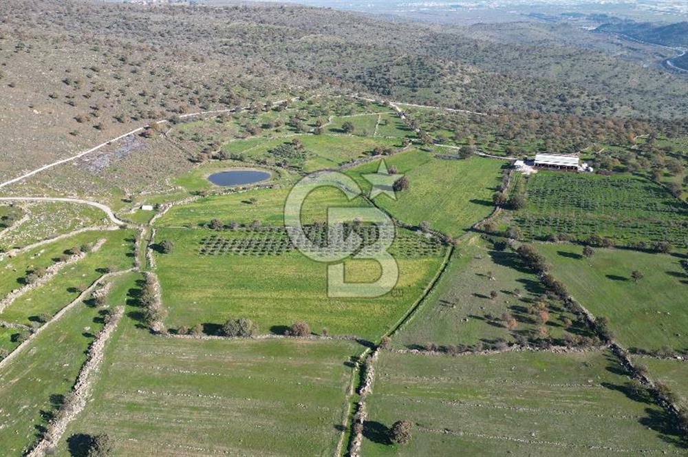 MENEMEN TELEKLERDE SATILIK 3.214 M² TARLA