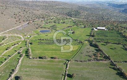 MENEMEN TELEKLERDE SATILIK 3.214 M² TARLA