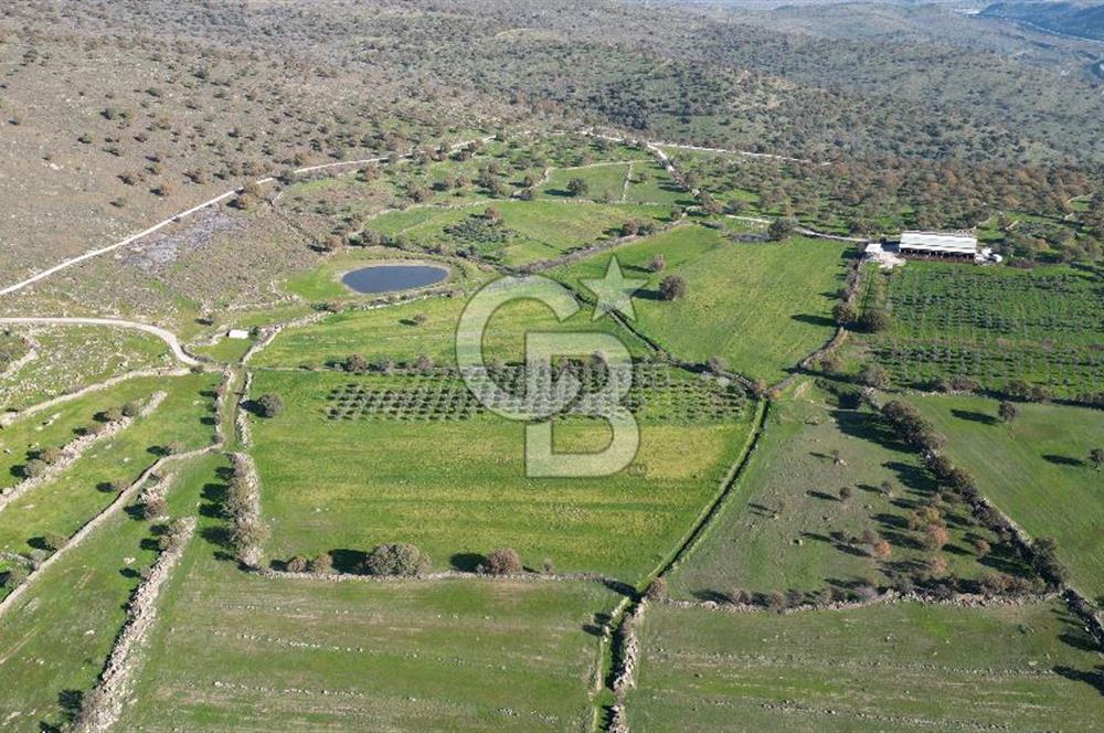 MENEMEN TELEKLERDE SATILIK 2 HİSSE 6.428 M² TARLA