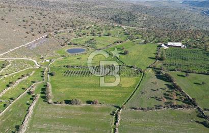 MENEMEN TELEKLERDE SATILIK 2 HİSSE 6.428 M² TARLA