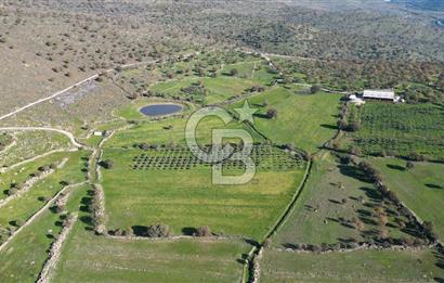 MENEMEN TELEKLERDE SATILIK 3.214 M² TARLA