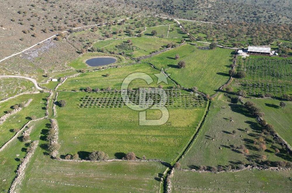 MENEMEN TELEKLERDE SATILIK 2 HİSSE 6.428 M² TARLA