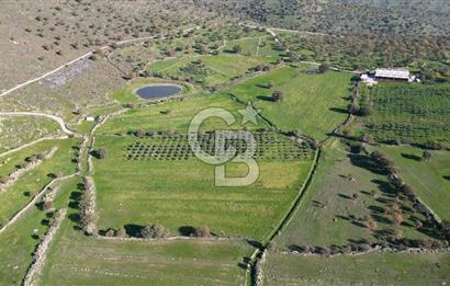 MENEMEN TELEKLERDE SATILIK 3.214 M² TARLA