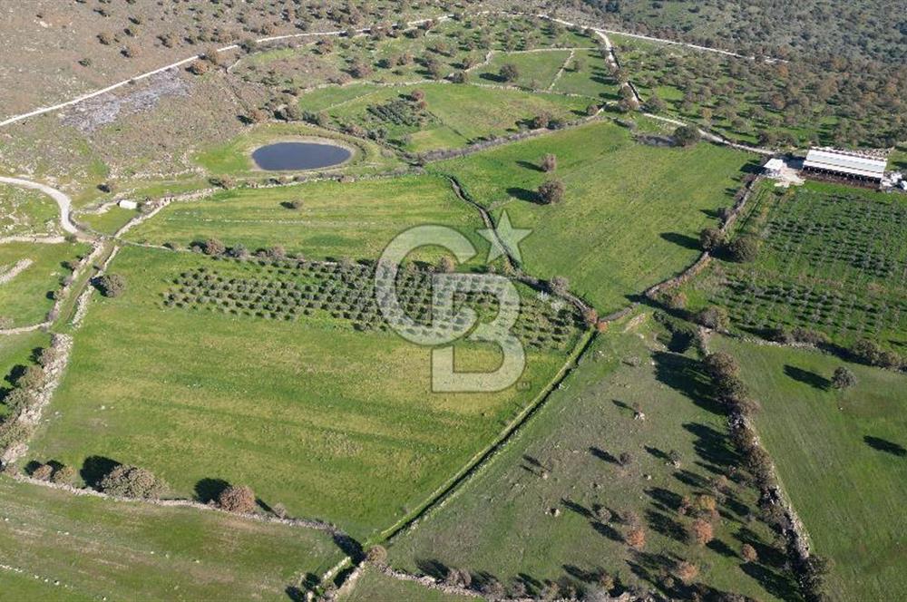 MENEMEN TELEKLERDE SATILIK 2 HİSSE 6.428 M² TARLA