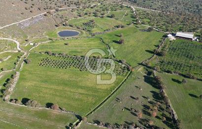 MENEMEN TELEKLERDE SATILIK 2 HİSSE 6.428 M² TARLA