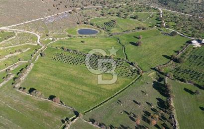 MENEMEN TELEKLERDE SATILIK 2 HİSSE 6.428 M² TARLA