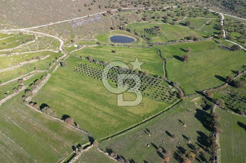 MENEMEN TELEKLERDE SATILIK 2 HİSSE 6.428 M² TARLA